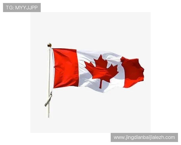 bb视讯用户常见问题解答全面解析常见疑问解决您的后顾之忧